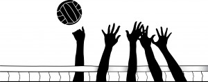 Disability Volleyball