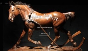 Free Spirit Memorial Fund