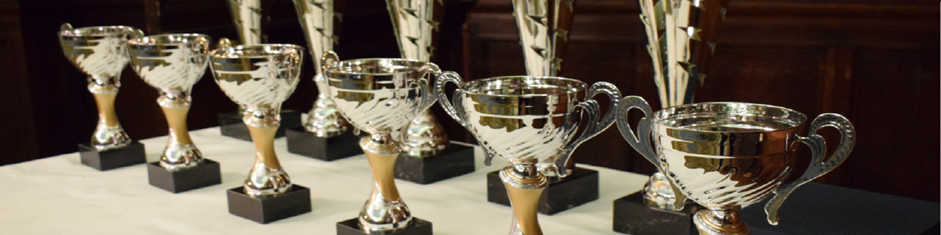 Sports awards trophies
