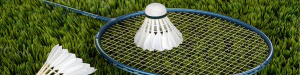 Badminton