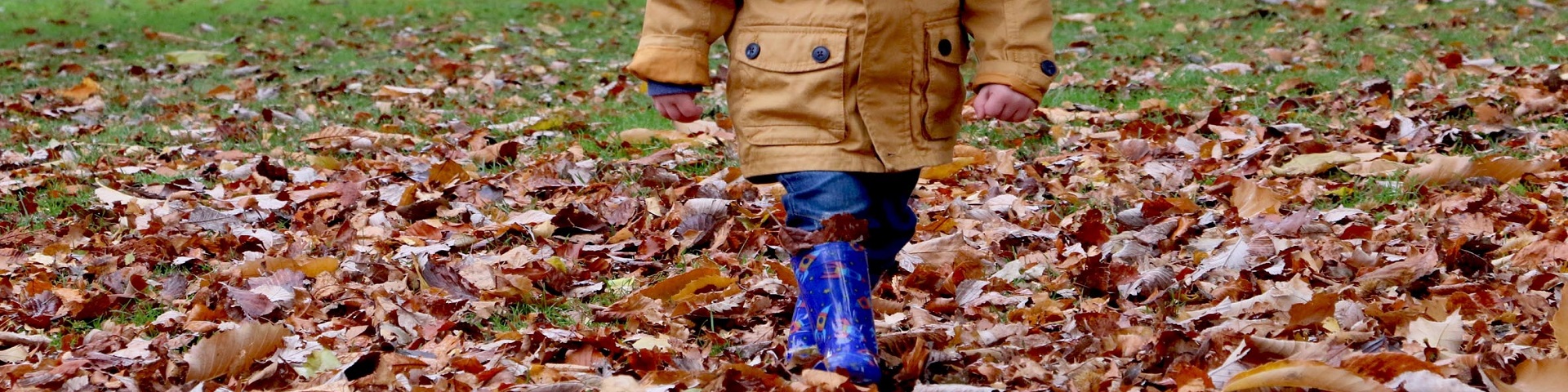 Child playing in autumn leaves