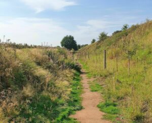 New Lichfield Canal Walk