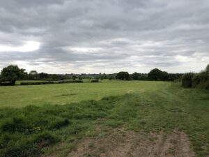 The Hand and Trumpet and Betley Walk