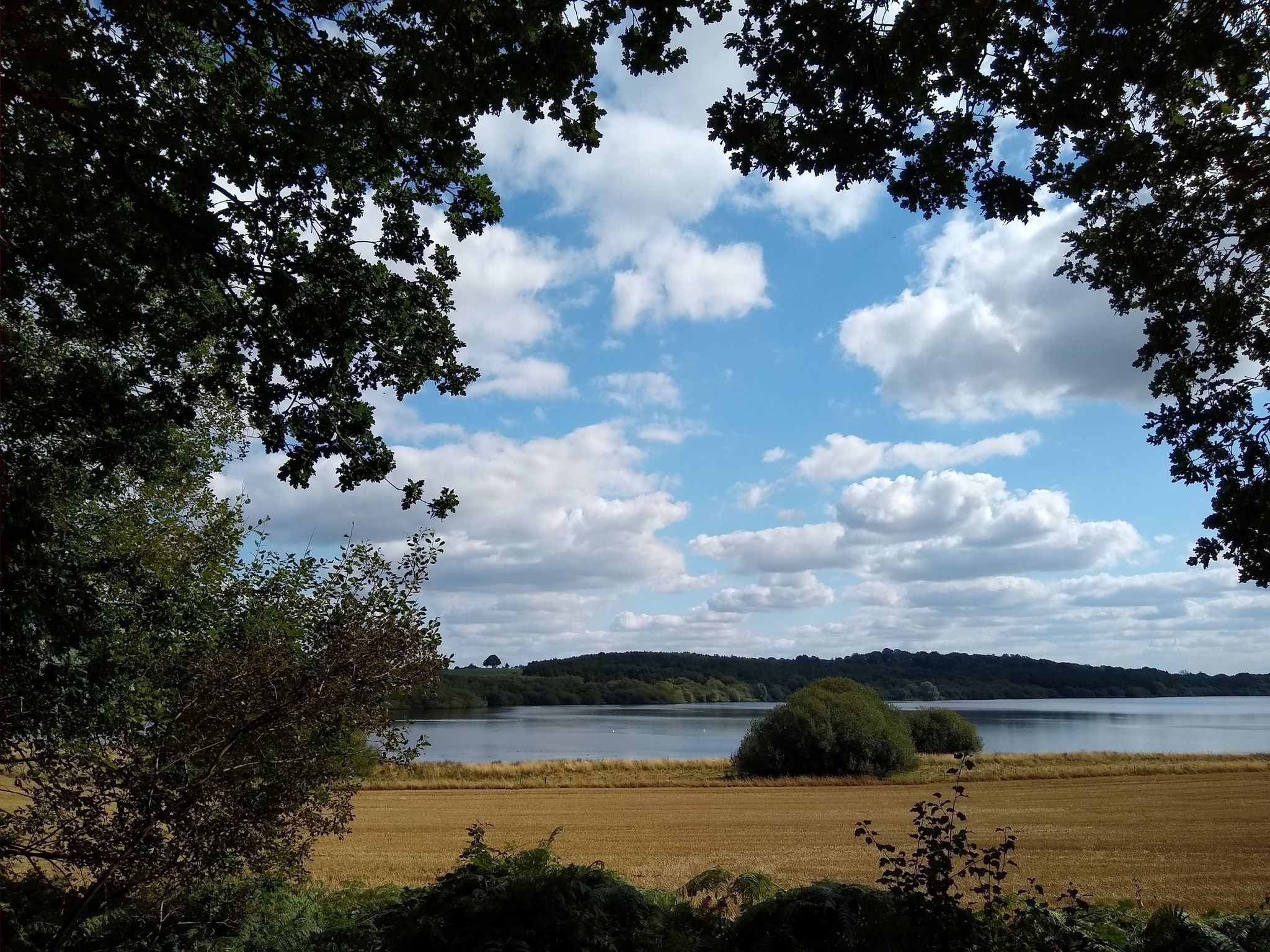 Winter Walks Rugeley Together Active Staffordshire & StokeonTrent