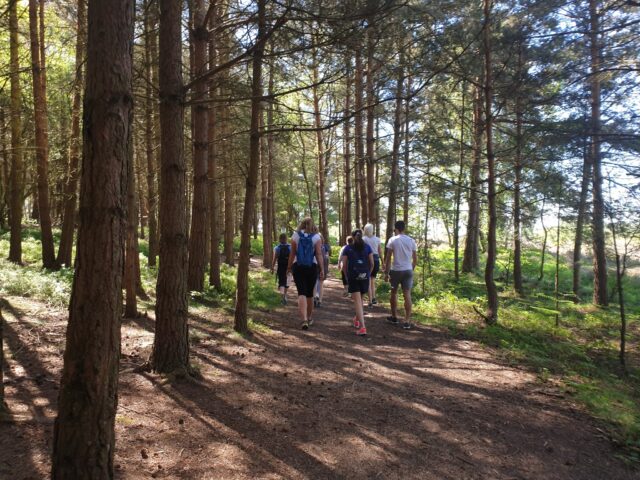 Cannock Chase