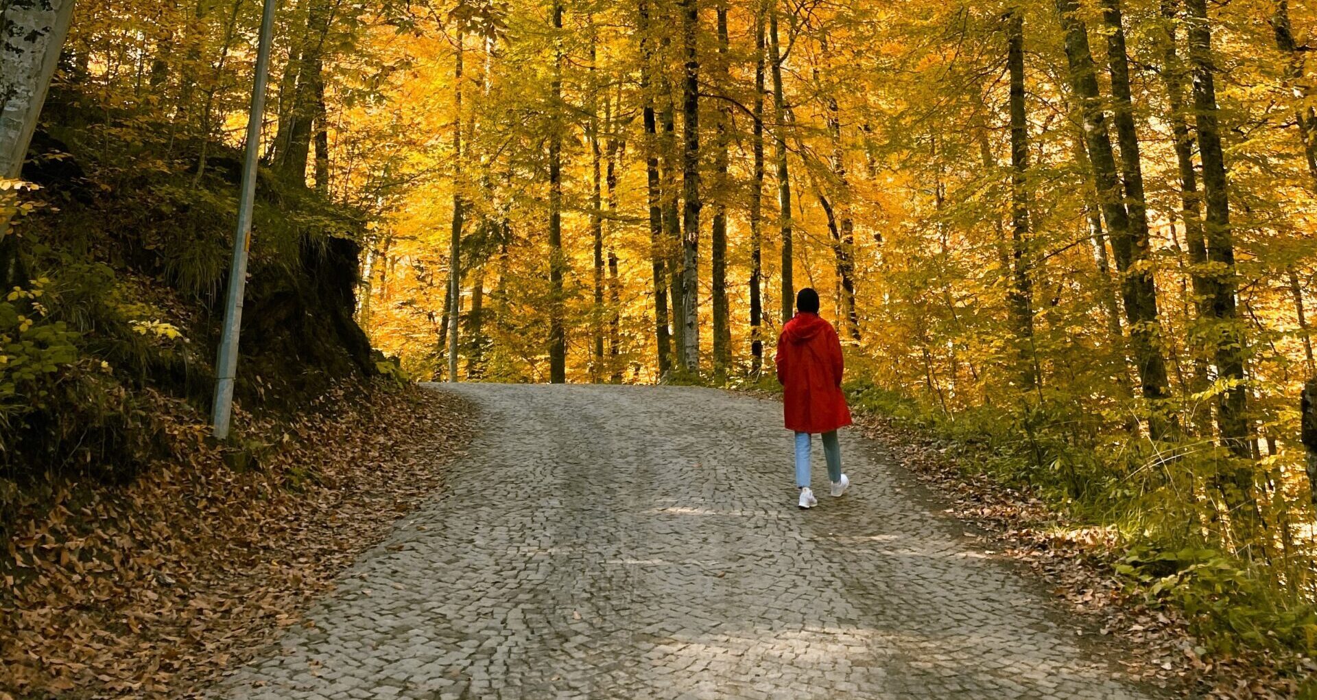 The benefits of walking and cycling more Together Active