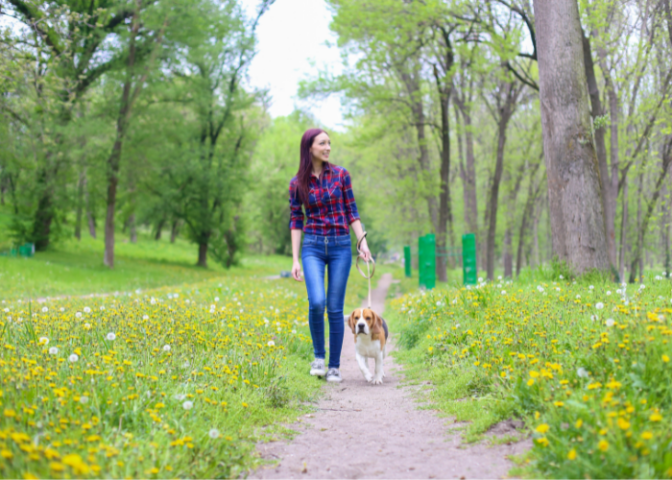 A person walking outdoors with their dog.